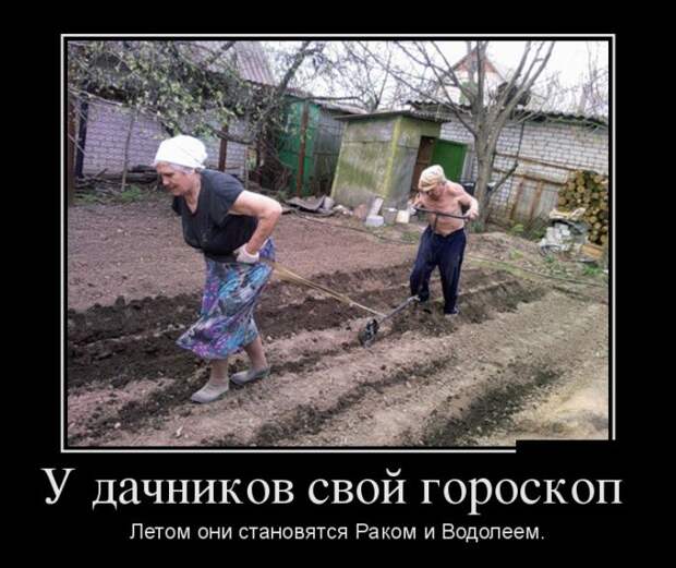 Демотиваторы (30 фото)