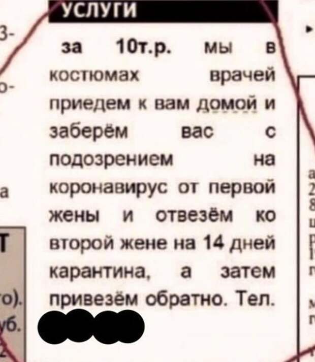 Смешные объявления об услугах, которые можно найти в Интернете