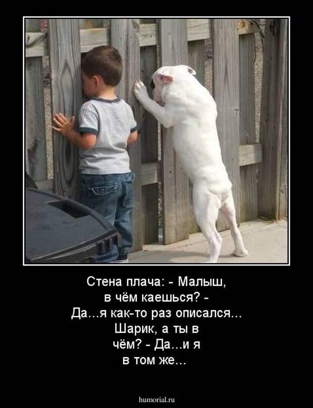Смешные истории и анекдоты от Михалыча!