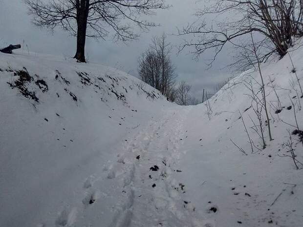 В Саратовской области в овраге нашли двух замерзших детей