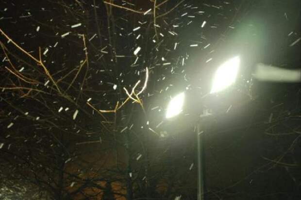 Ухудшение погоды в Тамбовской области: 26 декабря ожидаются метель и гололедица