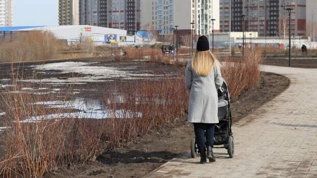 Гаражи, дорожки и елки. Как выглядит территория за ТЦ "Европа" в Барнауле после зимы