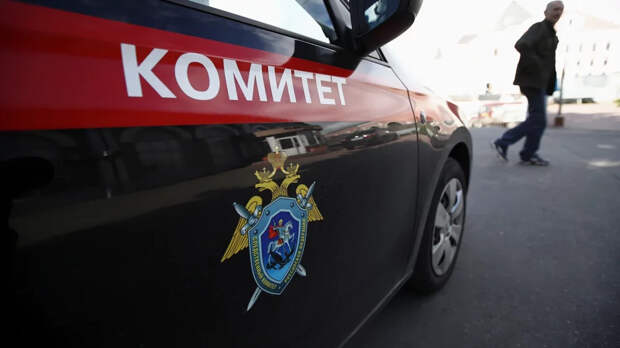 В Красноярске ищут 14-летнюю школьницу, пропавшую в один день с Николаем Каплей