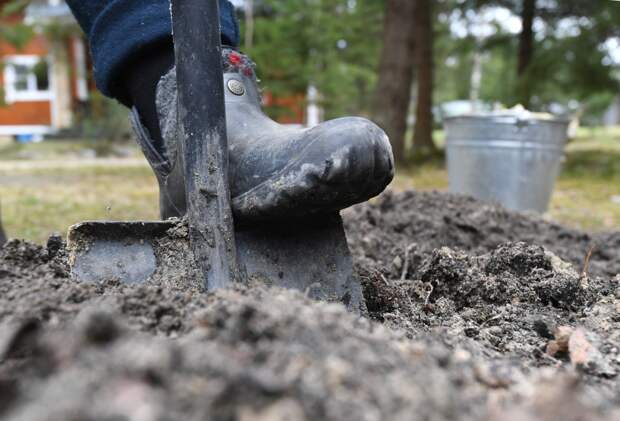 Дачникам развеяли главный миф о перекопке почвы