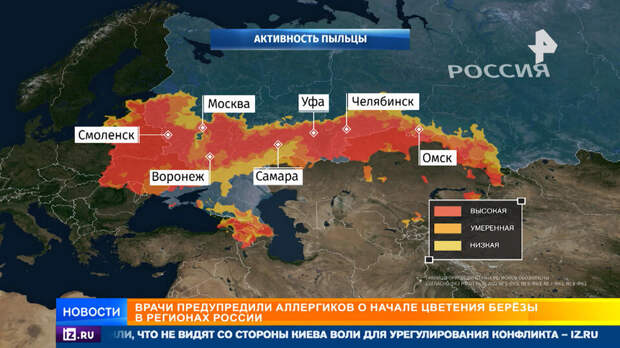 Аллергиков предупредили о начале цветения березы в России