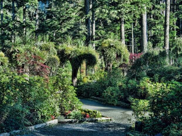 необычные деревья-клумбы в ботаническом саду Glacier Gardens на Аляске ОПРОКИНУТЫЕ ДЕРЕВЬЯ В ЭКЗОТИЧЕСКОМ САДУ