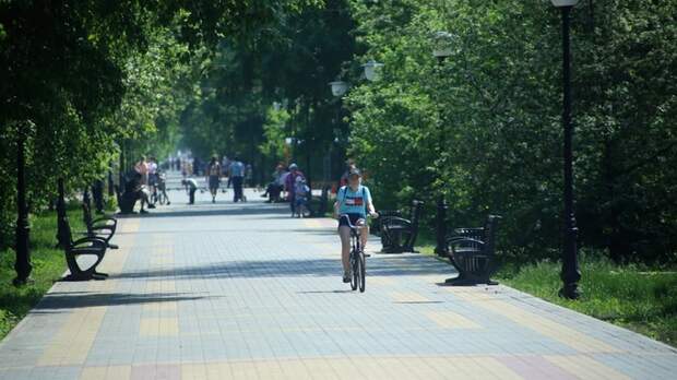 Велодорожка в Барнауле / Фото: amic.ru