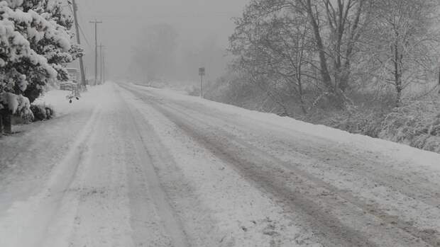 Погибшая в Анталье туристка приехала в Турцию вместе с мужем