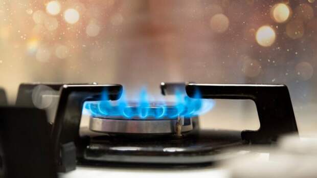 Новак: Уровень газификации в России к концу 2022 года достиг 73%