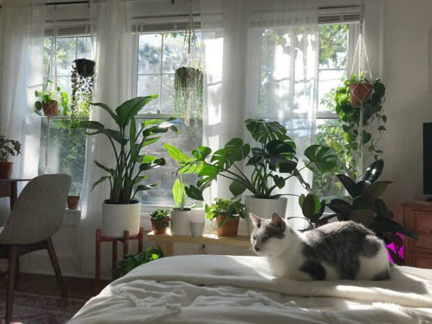 Разные уютные места, в которых хочется оказаться