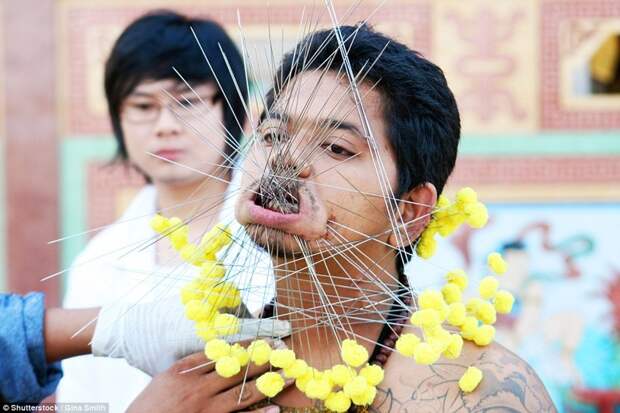 Посетитель Вегетарианского фестиваля на Пхукете, Таиланд, в 2012 году. На этом фестивале мужчины и женщины доказывают свою религиозность, принимая участие в ритуальных самоистязаниях модификации, модификация тела, народы мира, традиции мира
