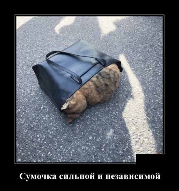 Демотиваторы (30 фото)