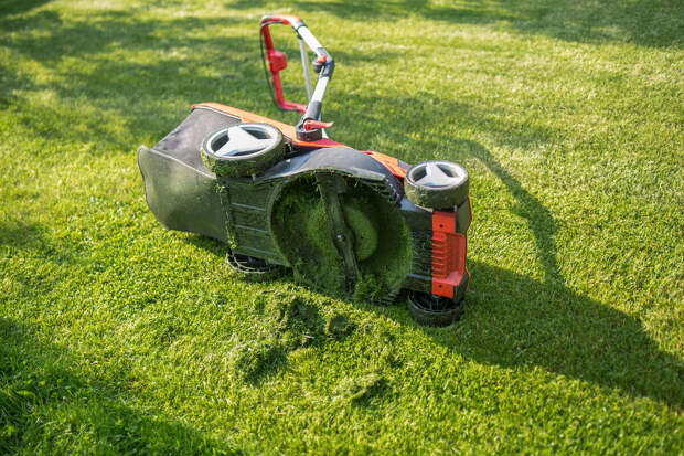 Фермер Ермошин: для работы робота-газонокосилки нужна ровная поверхность земли