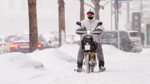 В Москве за сутки выпало около 64% месячной нормы снега