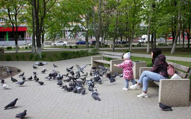 В Рязани начался прием заявок на благоустройство