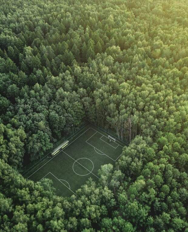 Фотоподборка