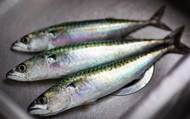 Как правильно выбрать рыбу в магазине