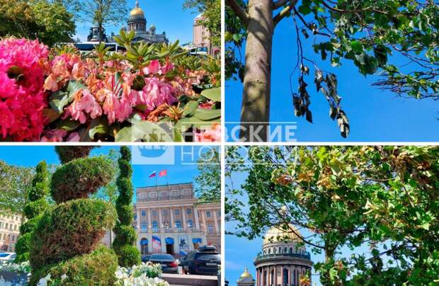 Прогулки по Санкт-Петербургу, ч.1