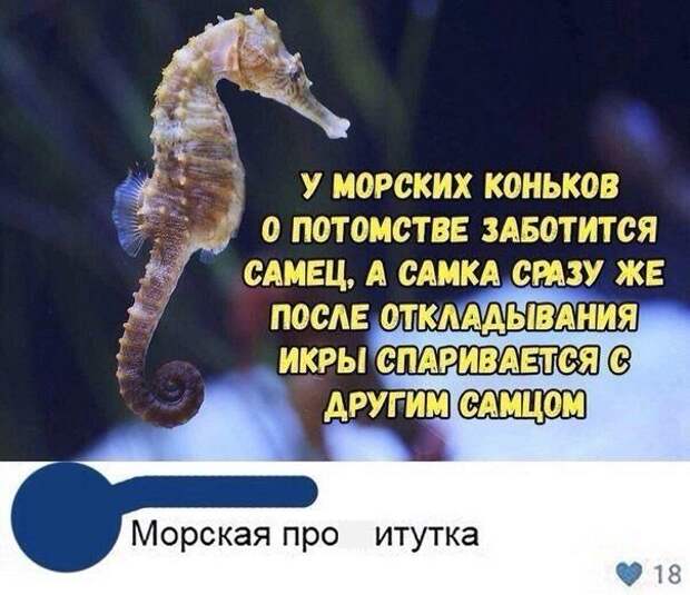 Шутки и истории про &quot;яжматерей&quot; и детей