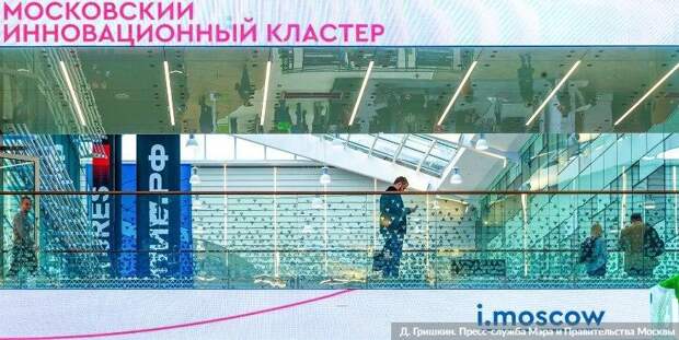 В Москве заработал новый онлайн-сервис для бизнеса — Сергунина. Фото: Д. Гришкин mos.ru