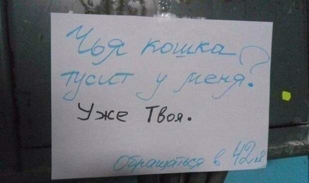 www.vsyako.net