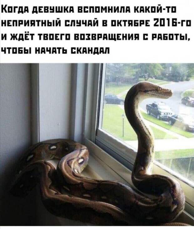 1593354655_0014.jpg