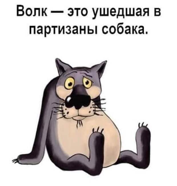Жена -мужу — Как хорошо, что ты сегодня рано вернулся с работы!...