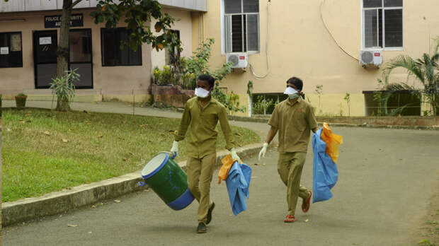 В ВОЗ оценили риск распространения вируса Нипах как невысокий