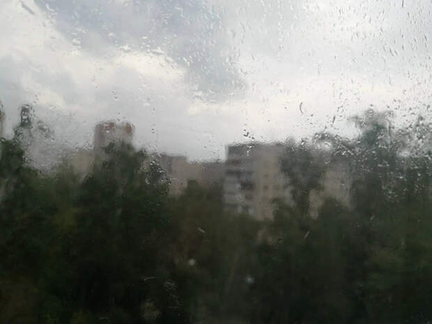 Заглянем в май: о возвращении холодов с заморозками предупреждает фенолог