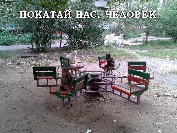 Позитивный пост+ 150 Позитивный пост+ 150