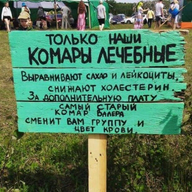 Волшебные комары.