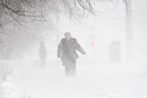 Москвичам рассказали о погоде на следующей неделе