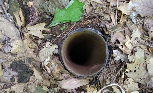 Туристы опустили камеру в странную трубу в глухом лесу: на глубине в 38 метров послышались голоса