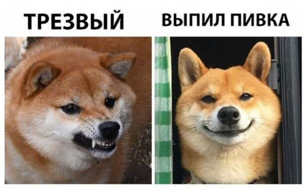 Пятничный алкоюмор Пятничный алкоюмор