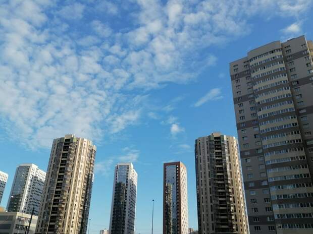 Авито Недвижимость: трехкомнатные квартиры оказались вдвое выше в цене, чем апартаменты