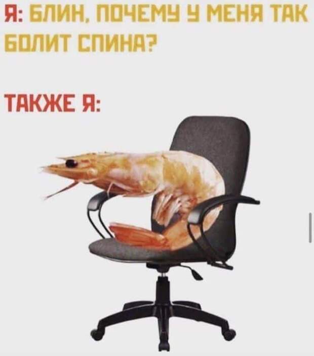 206386_4_trinixy_ru.jpg