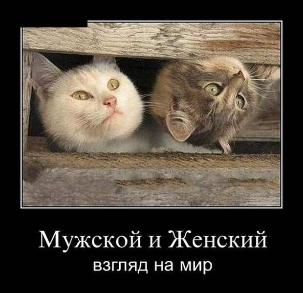 Демотиваторы (20 фото)