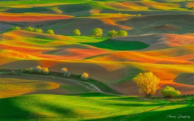 20 удивительных фотографий, которые доказывают, что природа круче любого Фотошопа