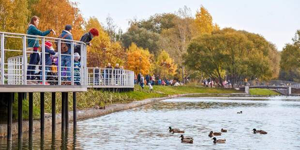 В Москве стартовало голосование по качеству благоустройства парков. Фото: mos.ru