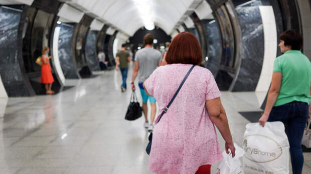 Число пассажиров на станции «ЗИЛ» Бирюлевской линии метро в час пик может достичь 40 тыс