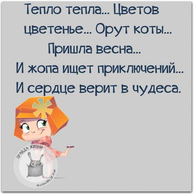 Тепло тепла, цветов цветенье, орут коты, пришла весна...