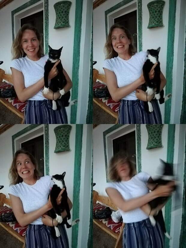 Ничто не предвещало животные, кот, кошка, месть, прикол, смех, хулиган, юмор