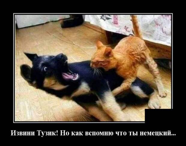 www.vsyako.net