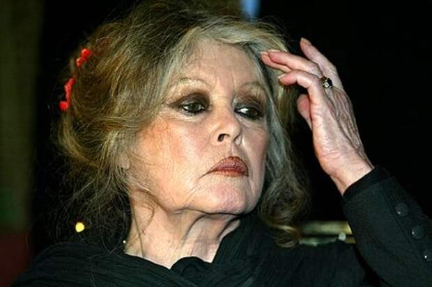 Раскрыта судьба основанного Брижит Бардо фонда по защите животных после ее смерти