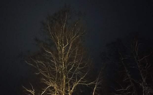 Деревня Ласково вновь осталась без света