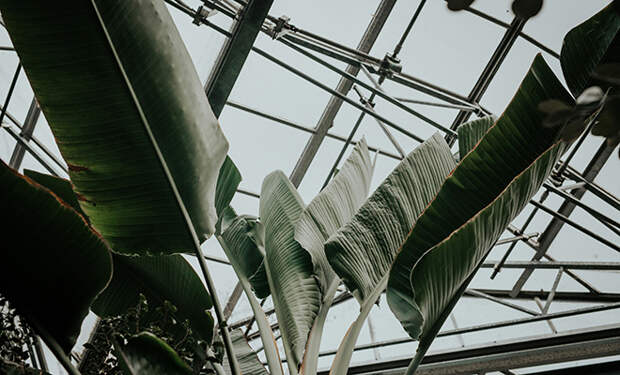 Источник фото: Unsplash