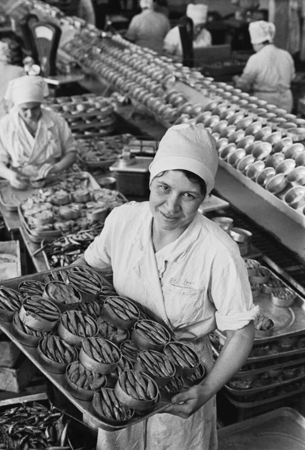 Производство консервированных шпрот на заводе в Таллине, Эстонская ССР, 1974 г. Фото: Кузнецов П./Фотохроника ТАСС