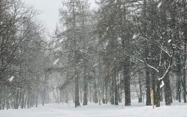 Снег в восьми и ветер в двух районах: погода в Рязанской области на 28 февраля