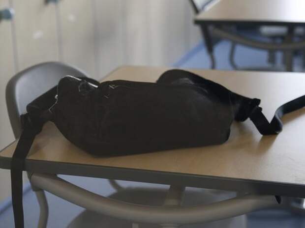 В Петербурге могут начать досматривать школьников с помощью интроскопов