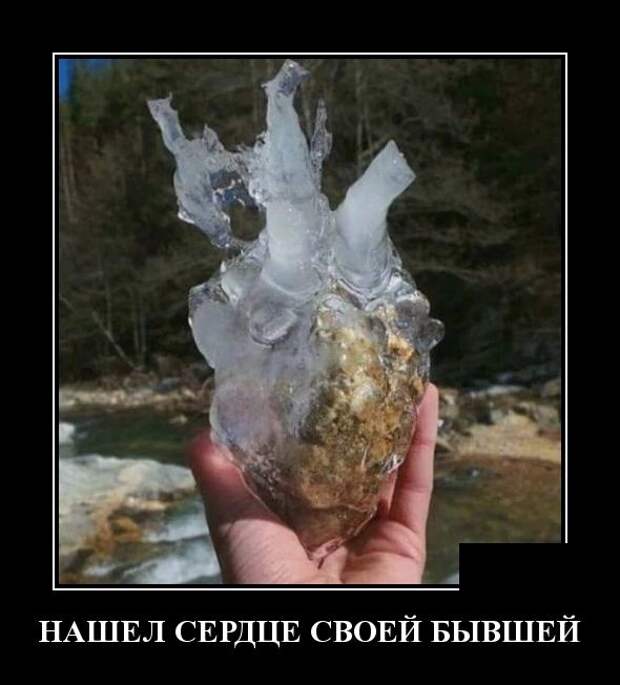 Демотиваторы (30 фото)